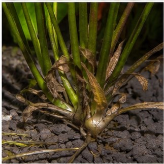 Ground in poor condition