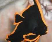 Platax pinnatus Red chauve-sourris